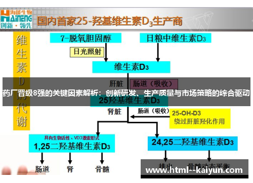 药厂晋级8强的关键因素解析：创新研发、生产质量与市场策略的综合驱动