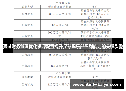 通过财务管理优化资源配置提升足球俱乐部盈利能力的关键步骤 通过财务管理优化资源配置提升足球俱乐部盈利能力的关键步骤